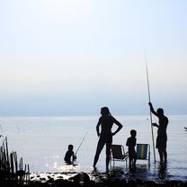 保险业巨擘，中国保险公司排行榜出炉，谁能霸主江湖？