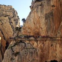 秦岭探险悲剧，两男子失联，生死一线间，一人获救奇迹生还，一人不幸罹难