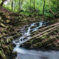 医学院生简历模板