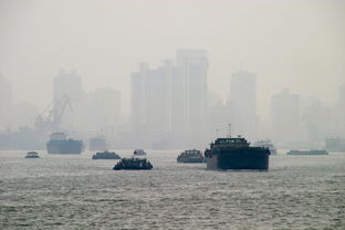 中国股市各板块介绍中国股市分哪几个板块